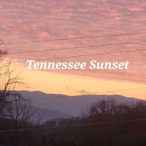 Meet your Posher, Pam. I WILL ACCEPT ANY REASOABLE OFFER - Picture 9 of 13